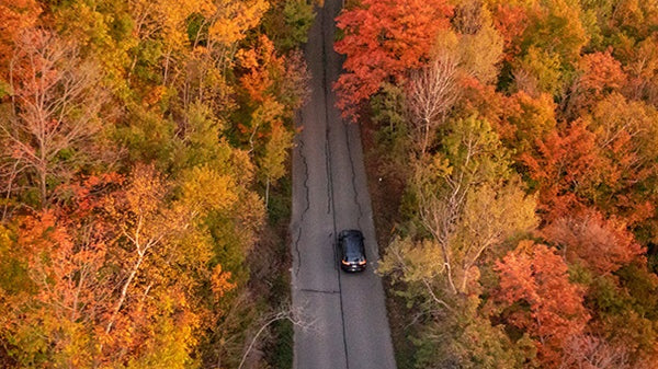 Why We Love Petoskey: Your Ultimate Guide to Fall Fun
