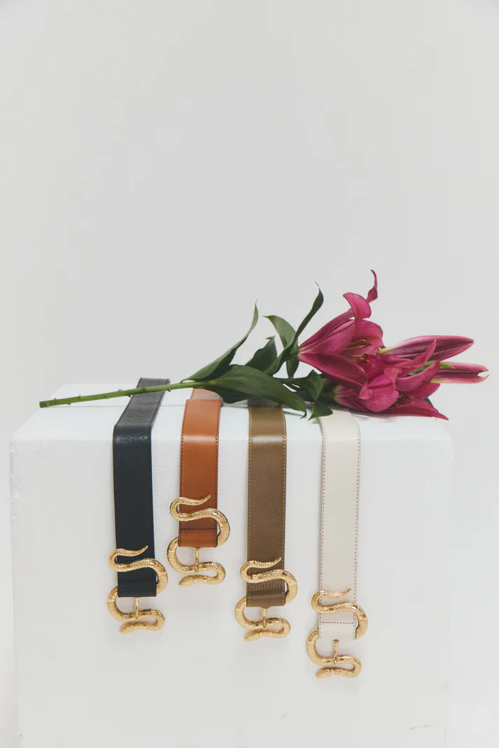 Set of belts with gold buckles on a white box with a pink flower.