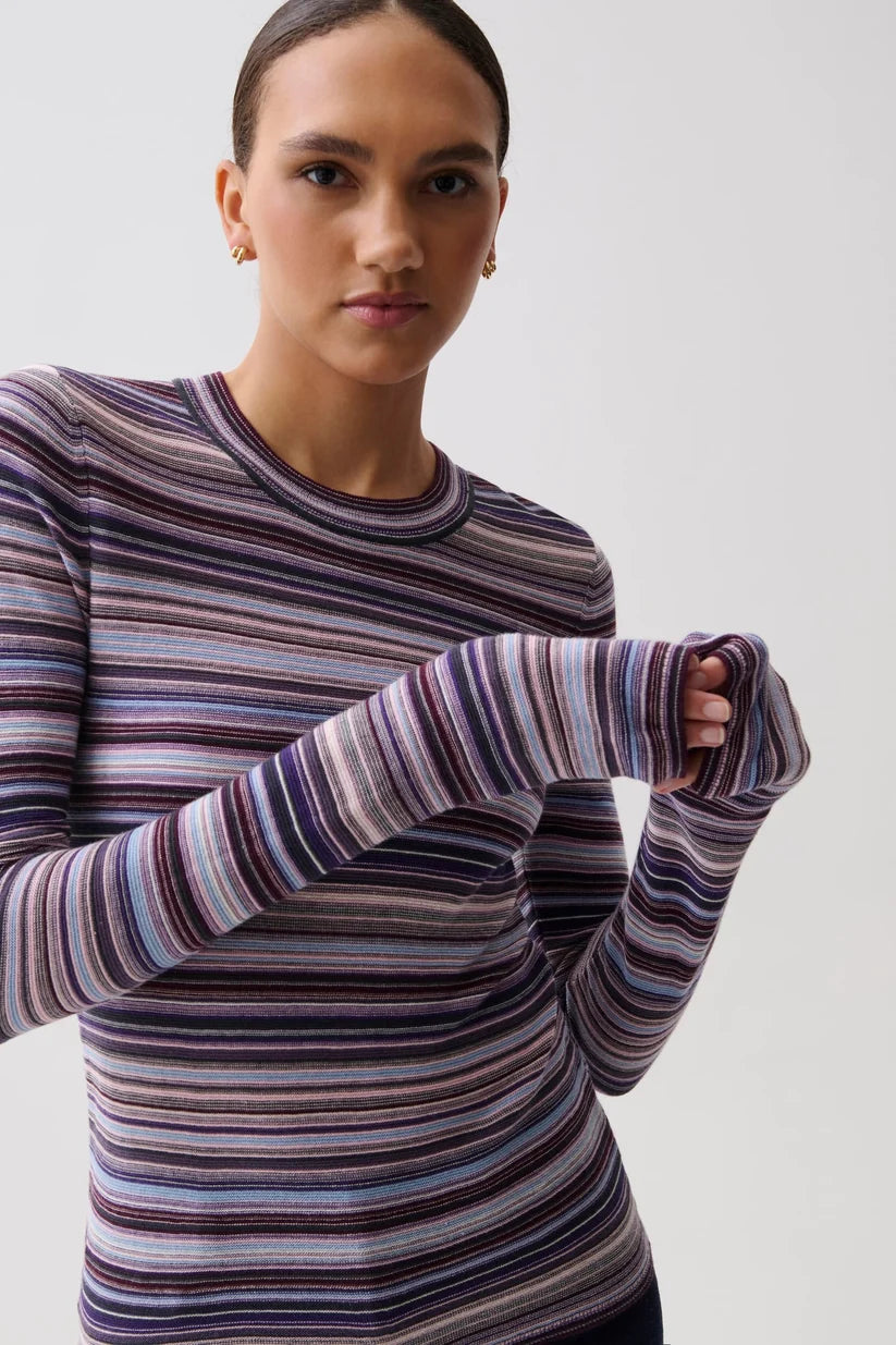A woman wearing a long-sleeve crewneck knit top with horizontal multicolor stripes in purple, blue, pink, and gray, posed against a light gray studio background.