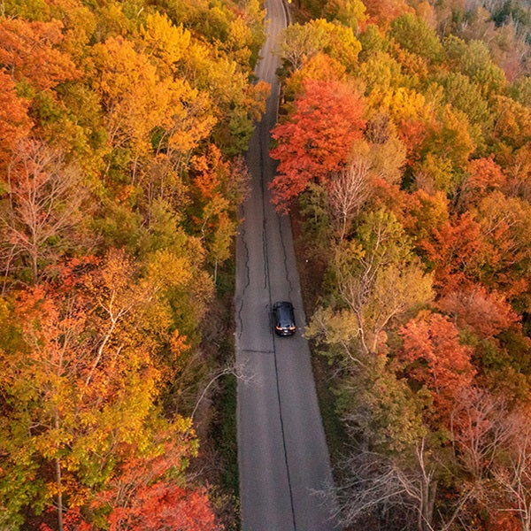 Why We Love Petoskey: Your Ultimate Guide to Fall Fun