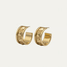 Pair of gold hoop earrings on a light beige background