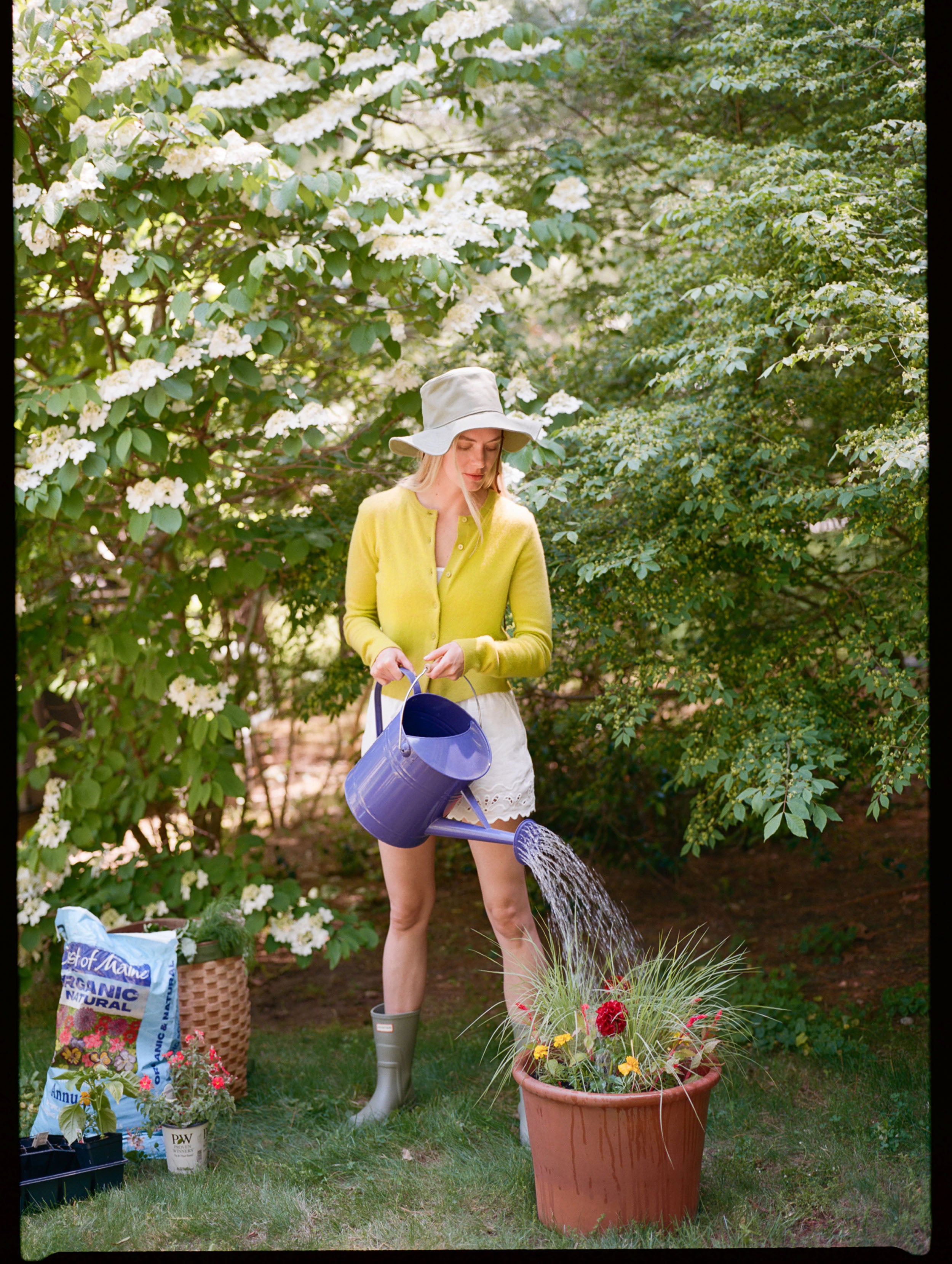 Woman watering plants in a garden with trees and flowers in the background