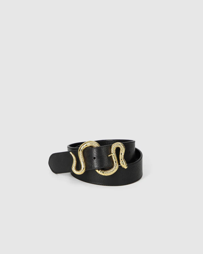Black belt with a gold snake-shaped buckle on a light gray background