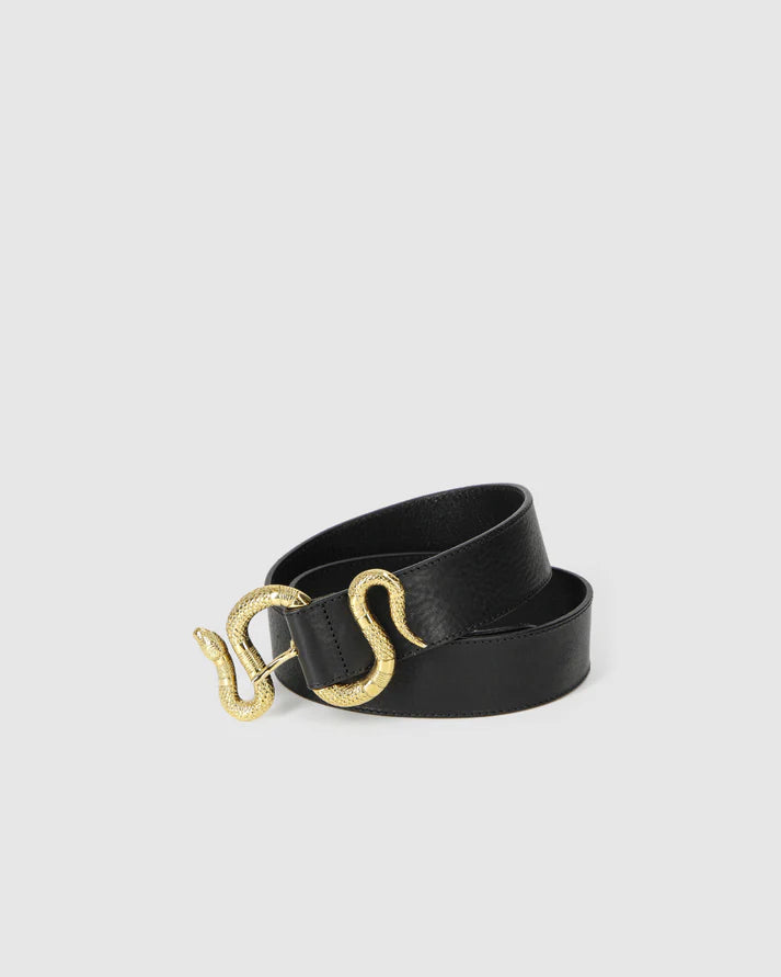 Black belt with a gold buckle on a light gray background